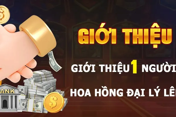 Sơ đồ hoạt động chương trình VIP mv66